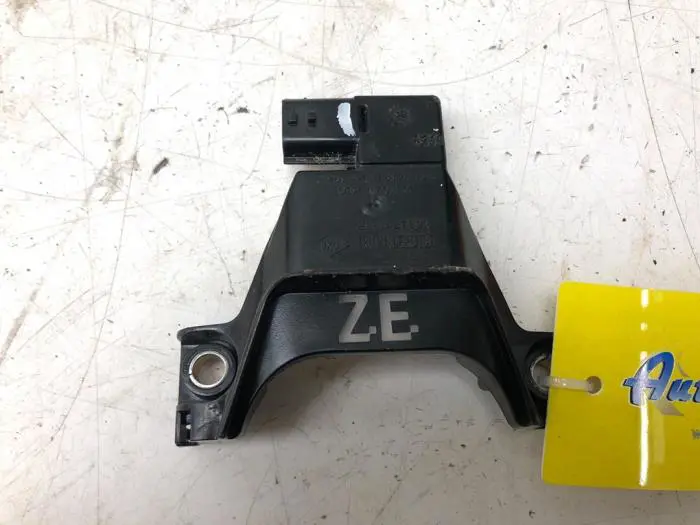 Module (diversen) Renault ZOE