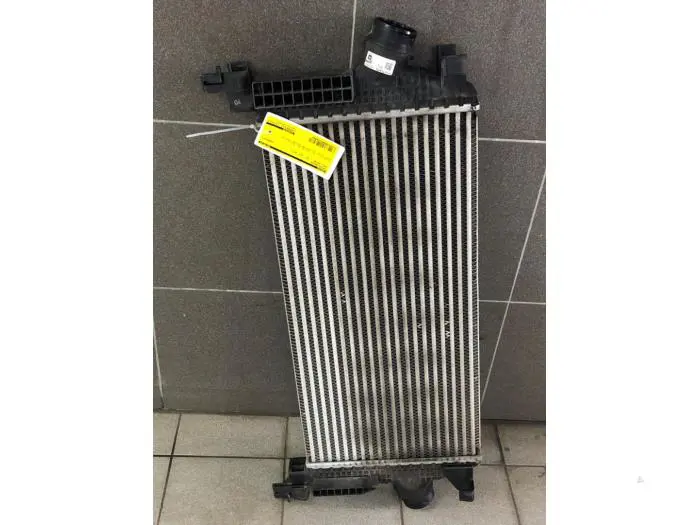 Intercooler Opel Astra