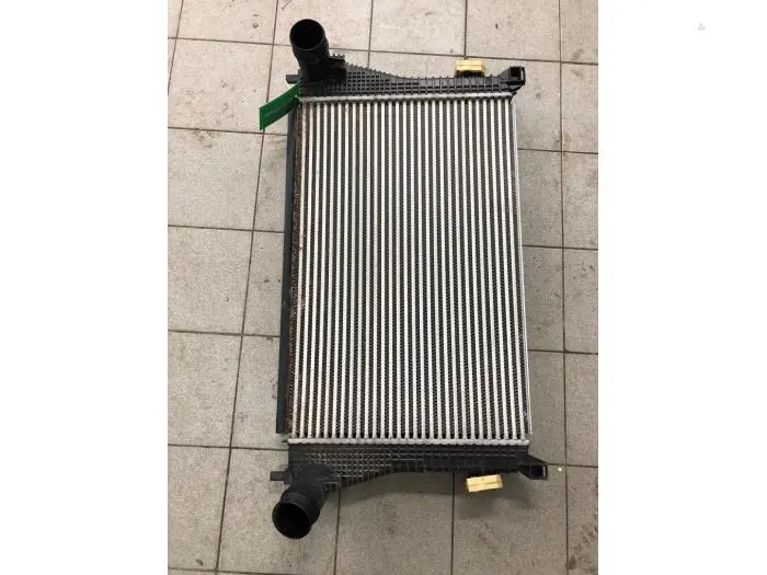 Intercooler Skoda Octavia