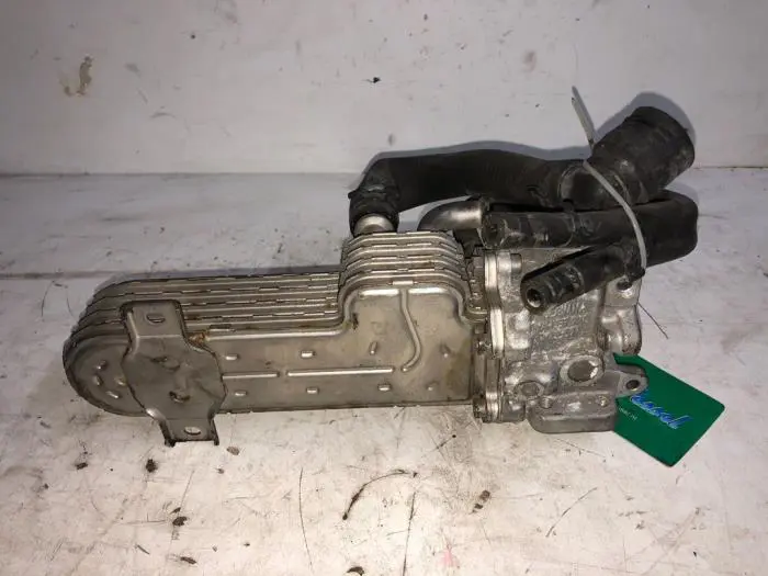 EGR koeler Volkswagen Passat 05-